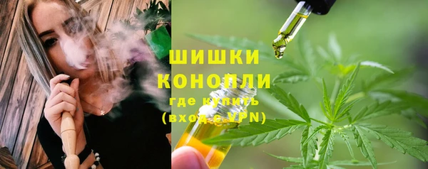 стаф Снежинск