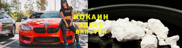 стаф Снежинск