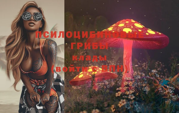 стаф Снежинск