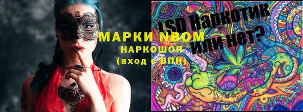 стаф Снежинск