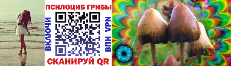 Купить где  Сковородино  Галлюциногенные грибы мицелий 